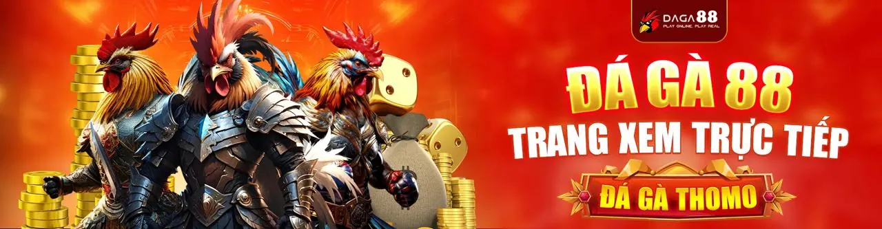 Đá gà trực tuyến kịch tính tại mu888 nhà cái